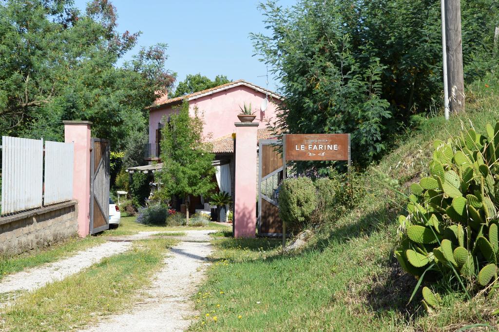 Il Casale Alle Farine Viterbo Kültér fotó